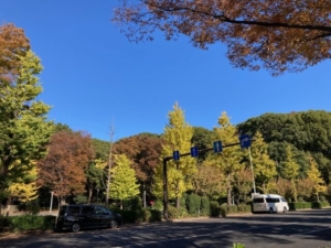 yoyogi-park