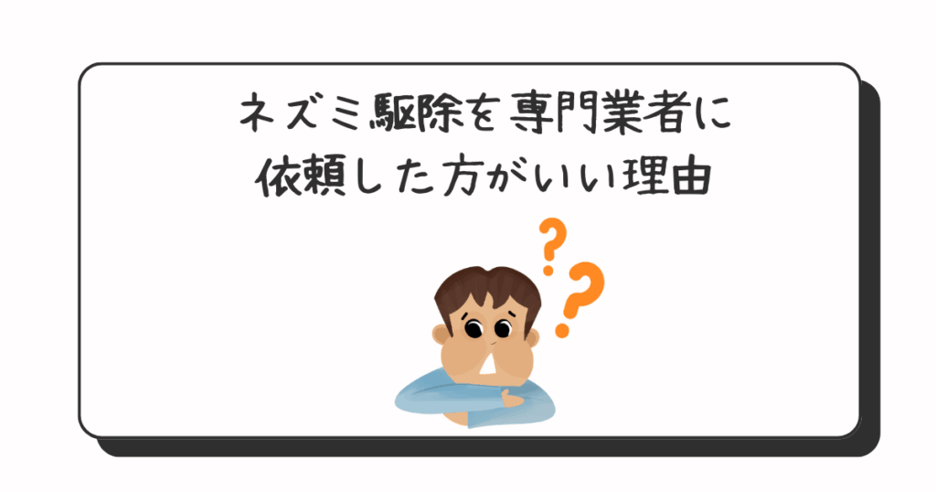 ネズミ駆除専門業者に依頼した方がいい理由